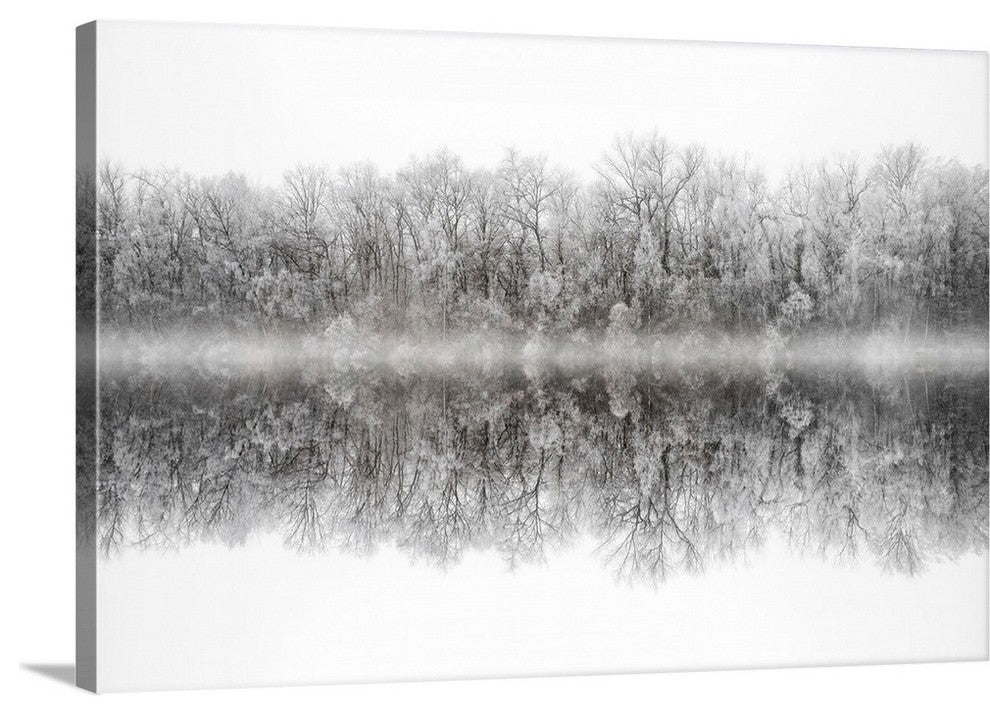 "White Purity" Wrapped Canvas Art Print, 48"x32"x1.5"