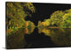 "Black Beauty" Wrapped Canvas Art Print, 48"x32"x1.5"