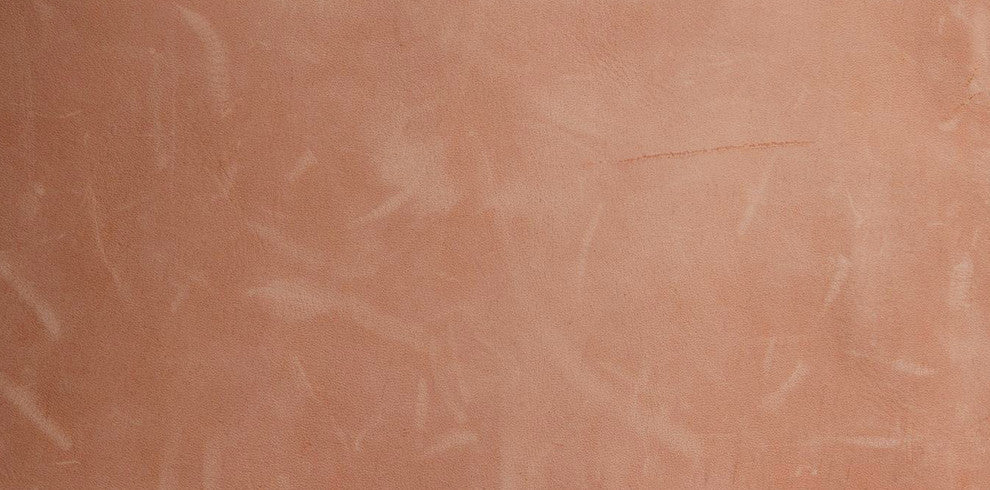 Cantor Right Arm Leather Sofa, Finish: Fawn, Leather: Peony