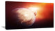 "Planets With Rising Star" Canvas Print