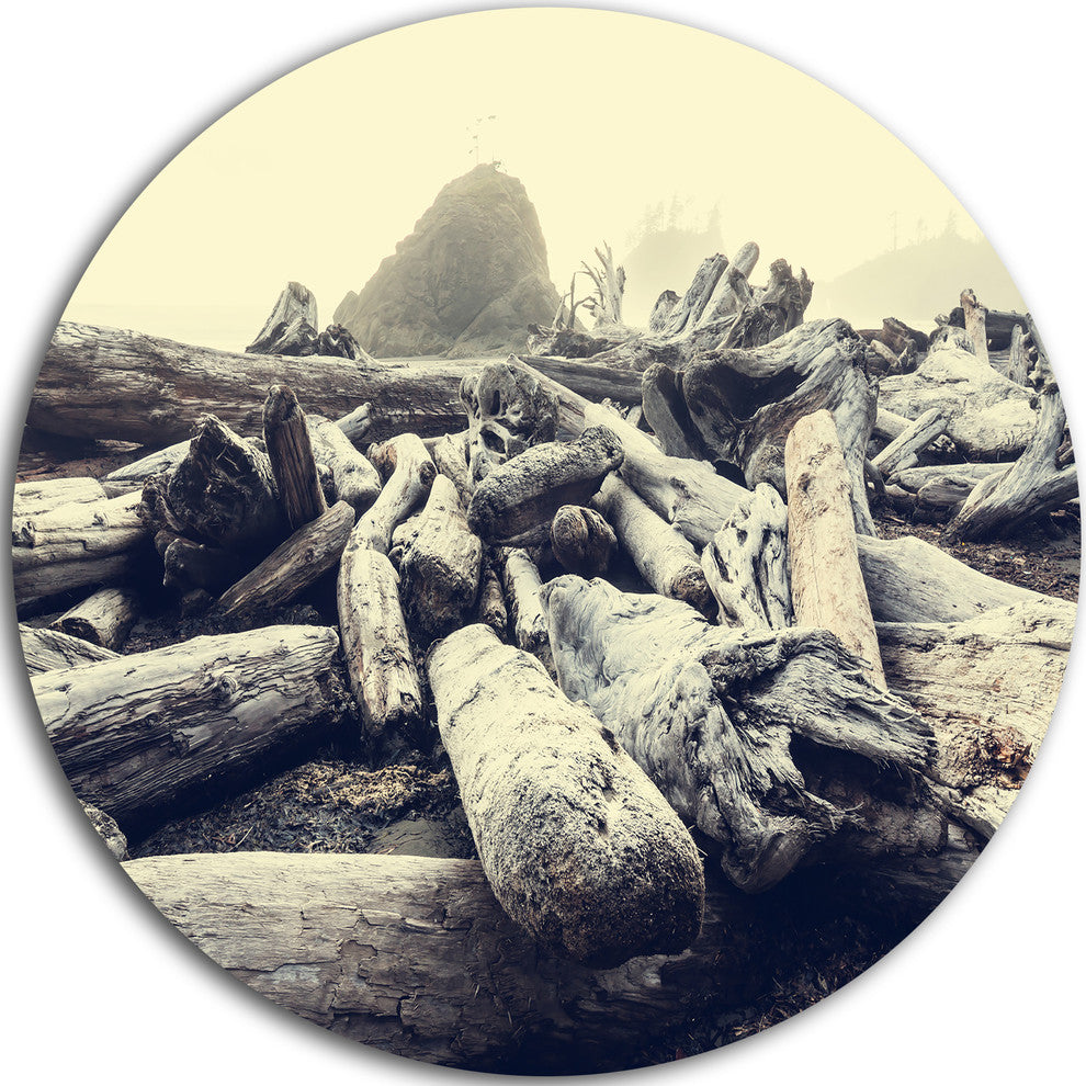 Olympic National Park Landscape, Landscape Round Metal Wall Art, 11"