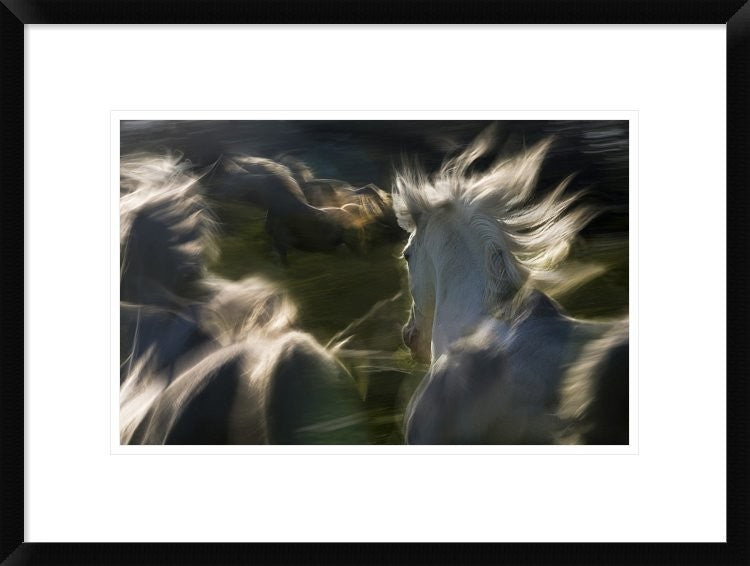 "Esata Equina" Framed Digital Print by Milan Malovrh, 24"x18"