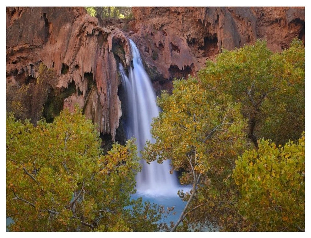 "Havasu Falls, Grand Canyon, Arizona" Paper Print by Tim Fitzharris, 42"x32"