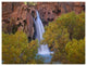 "Havasu Falls, Grand Canyon, Arizona" Paper Print by Tim Fitzharris, 42"x32"