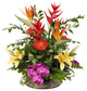 Exotic Tropical Silk Floral With Pebbles in Glass Bowl