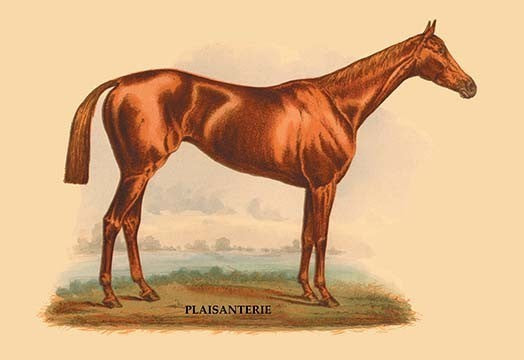 Plaisanterie - Canvas Poster 20" x 30"