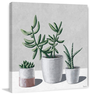 "Succulents, Bloom" Painting Print on Wrapped Canvas
