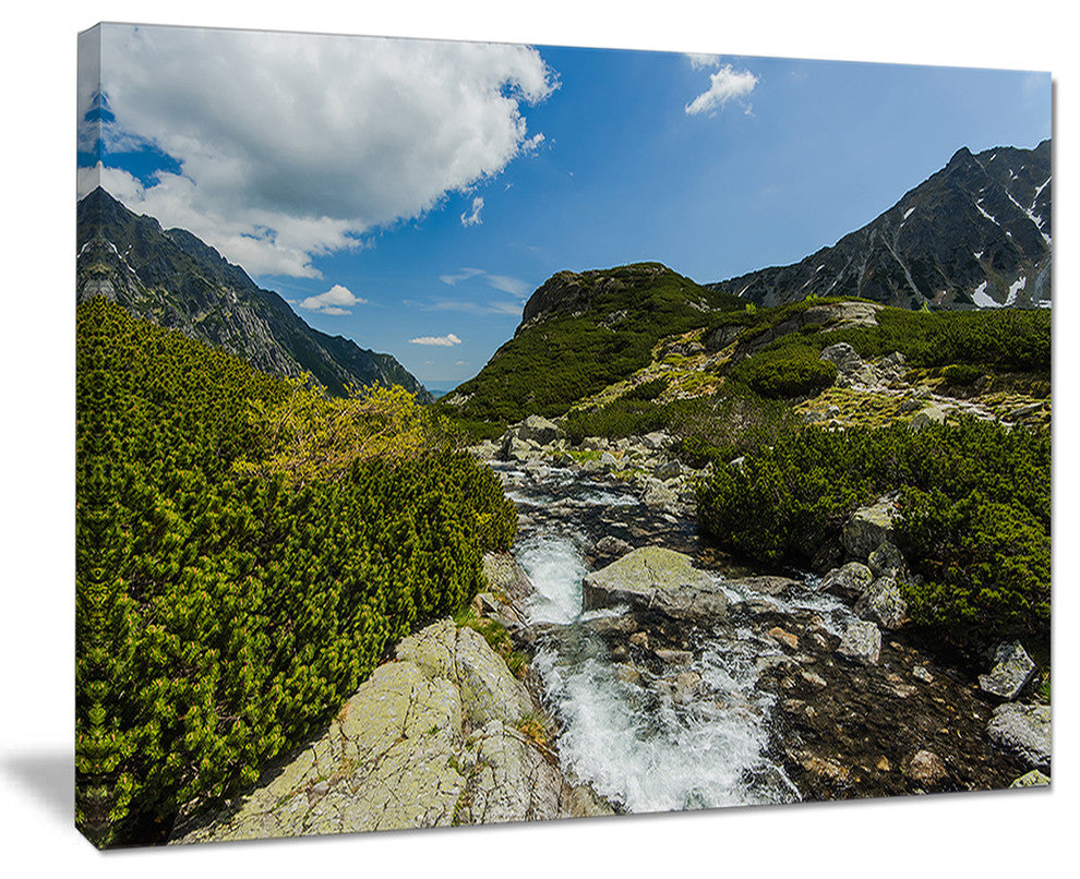 "Alpine Stream in High Mountains" Canvas Print