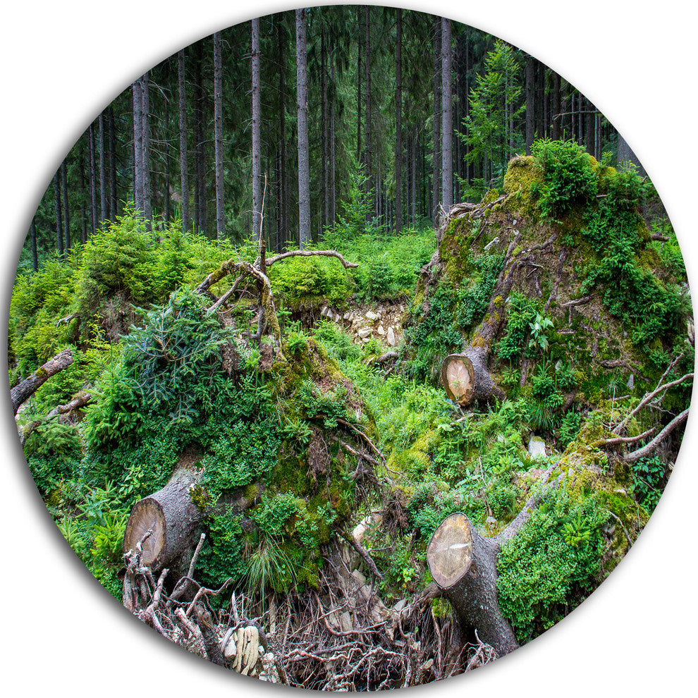 Wild Deep Forest Rocks And Hills, Landscape Disc Metal Wall Art, 23"