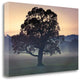 "Evening Wisdom" By Assaf Frank, Giclee Print on Gallery Wrap Canvas