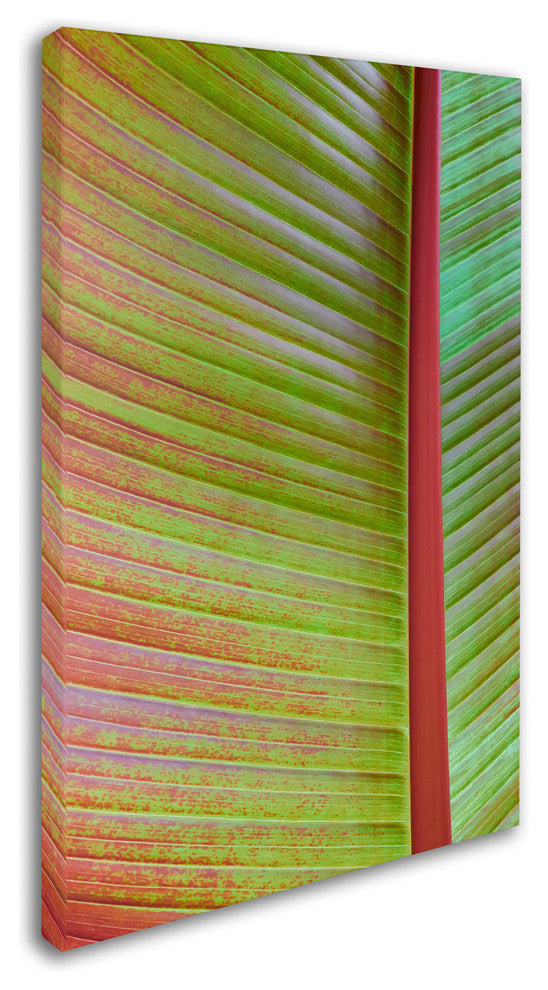 Cora Niele ''Leaf Texture VI'' Canvas Art