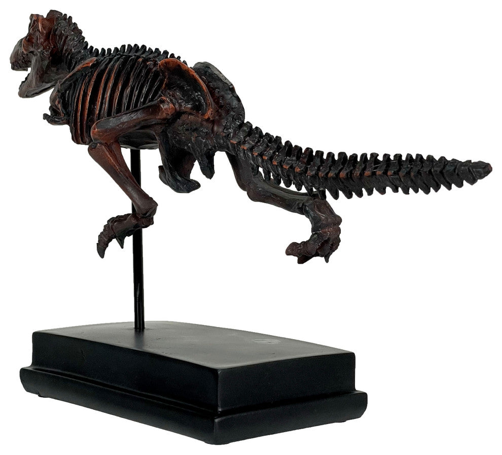Tyrannosaurus Rex Skeleton Statue T-Rex on Museum Mount