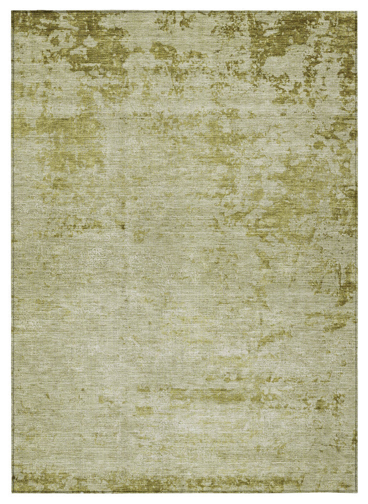 Machine Washable Indoor/Outdoor Chantille ACN1901 Aloe 10' x 14' Rug