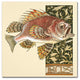 Vintage Apple Collection 'Seder Fish' Canvas Art, 35x35