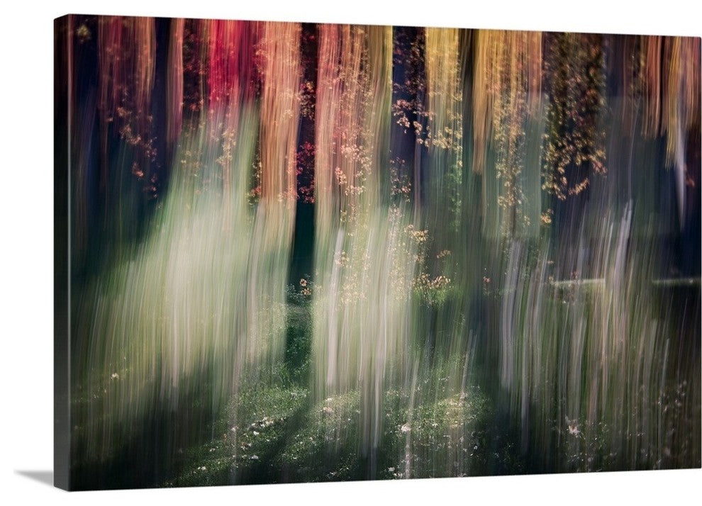 "Spring Light" Wrapped Canvas Art Print, 36"x24"x1.5"