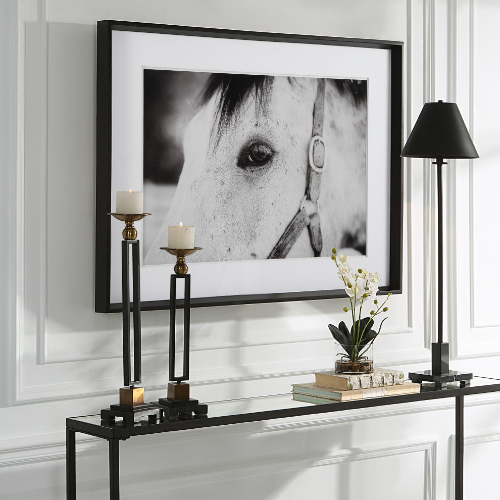 Uttermost 41463 Eye Of The Beholder Framed Print