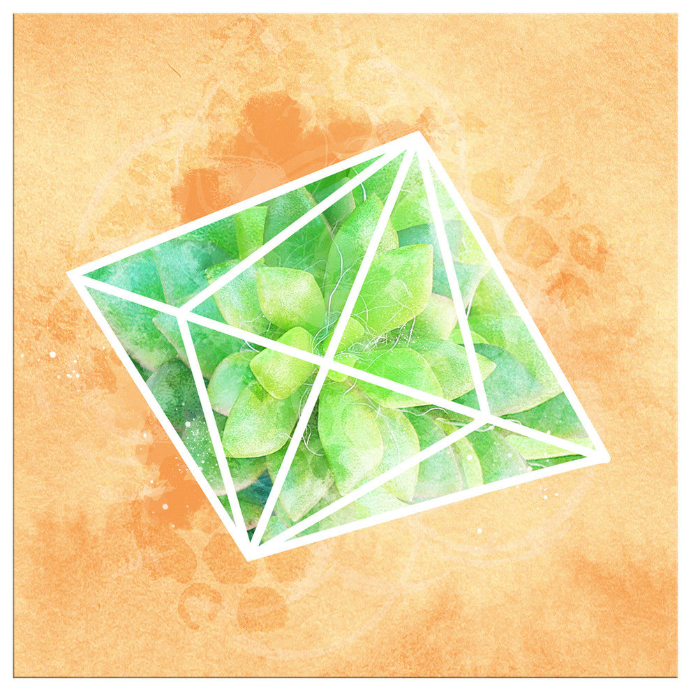 Ready2HangArt 'Crystal Terrarium' Wrapped Canvas Succulent Wall Art, 10"x10"