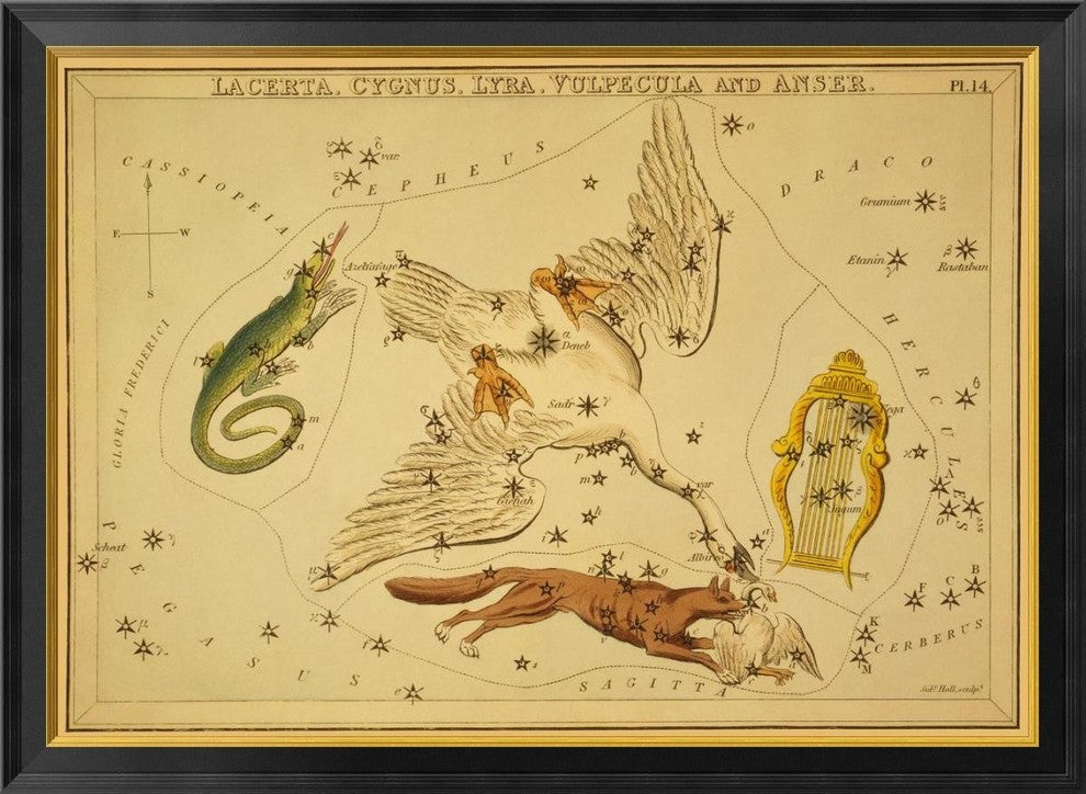 "Lacerta, Cygnus, Lyra, Vulpecula and Anser, 1825"  by Jehoshaphat Aspin, 40x28"