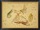 "Lacerta, Cygnus, Lyra, Vulpecula and Anser, 1825"  by Jehoshaphat Aspin, 40x28"