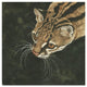 "The Margay" Digital Paper Print by Jacquie Vaux, 20"x20"