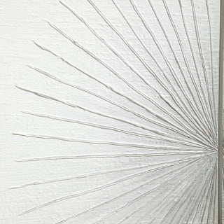 Close-up of sunburst detail on white background