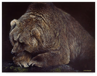 Harro Maass 'Bear In Dark' Canvas Art, 32"x24"