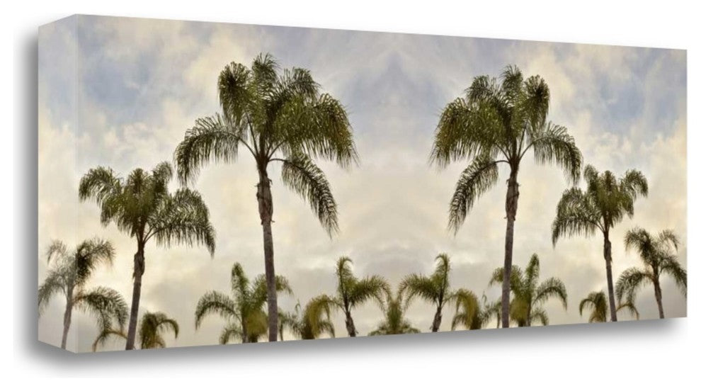 "Palm Banner - 2 - Color" By Alan Blaustein, Giclee Print on Gallery Wrap Canvas