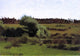 Dennis Miller Bunker Larmor, Gallery Wrapped Canvas Print, 18"x27"