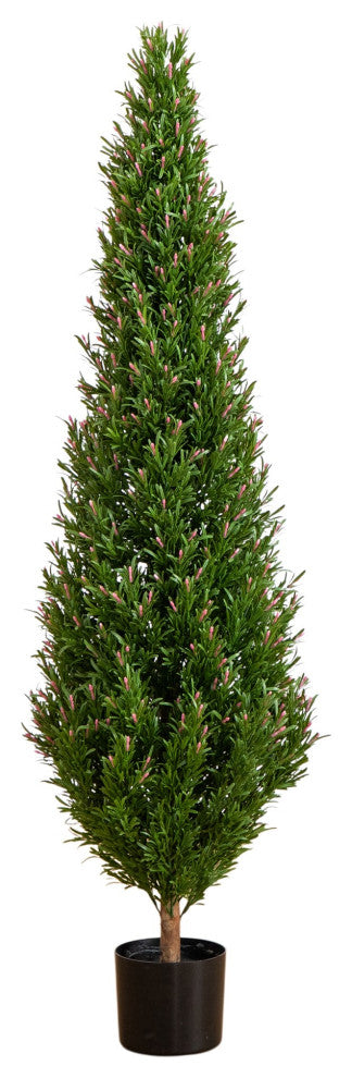 Primary product image: full topiary on white background, front-facing, no text.