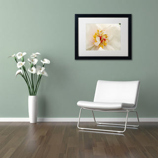 PIPA Fine Art 'Eye of Peony' Matted Framed Art, 14x11
