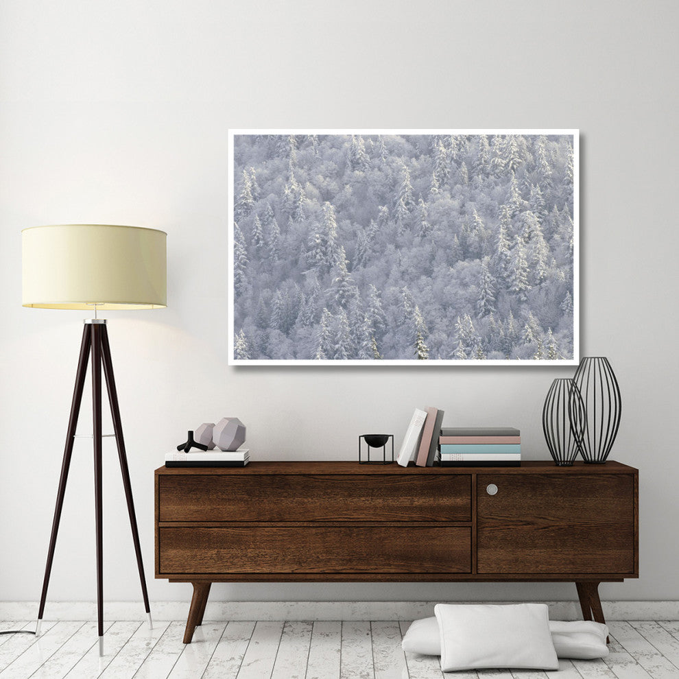 "Winter forest, British Columbia" Digital Paper Print by Tim Fitzharris, 62"x42"