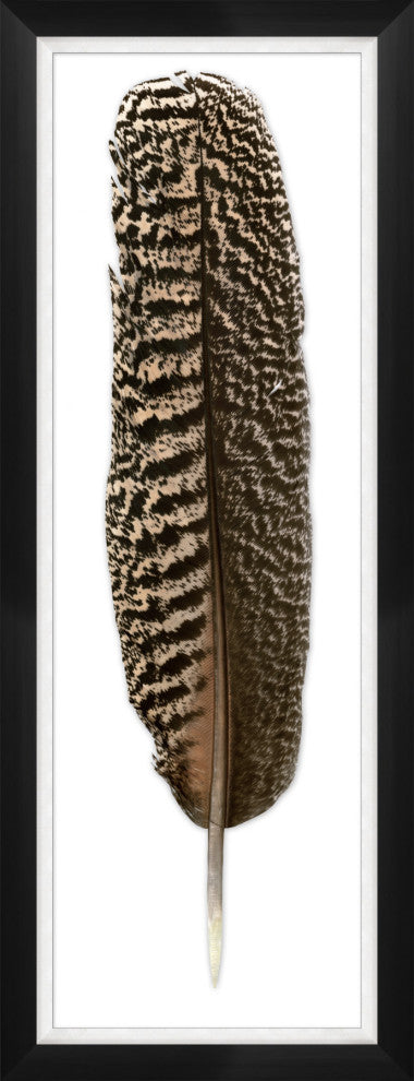 Mottled Peacock Feather 1, Giclee Reproduction Artwork