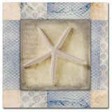 LightBoxJournal 'White Sea Starfish' Canvas Art, 18" x 18"
