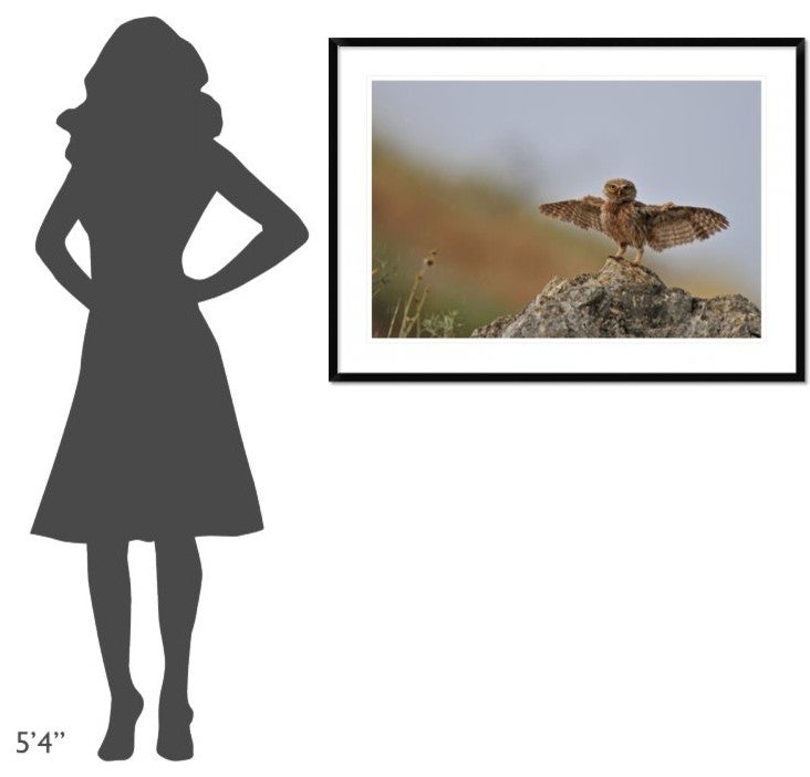 "I Can Fly!!!!!!" Framed Digital Print by Muayad Amer, 44x32"