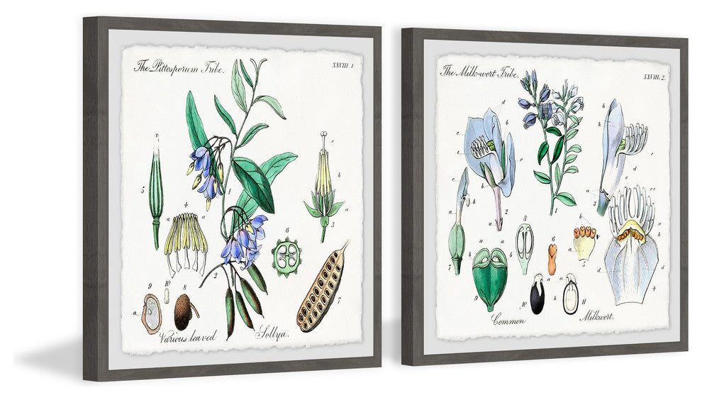 "We Are Bellflowers Diptych" Framed Prints, 18"x18", 2-Piece Set