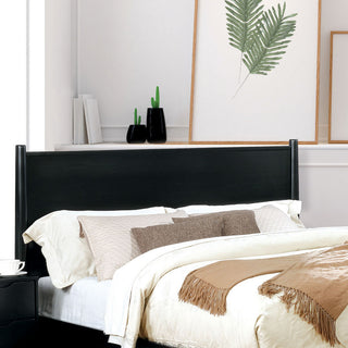 Furniture of America Belkor Solid Wood Queen Platform Bed in Black