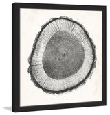 "Tree Ring II" Framed Painting Print, 24"x24"