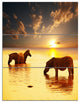Zebras in Water At Sunset, African Triptych Canvas Art Print, 28x36, 3 Panels