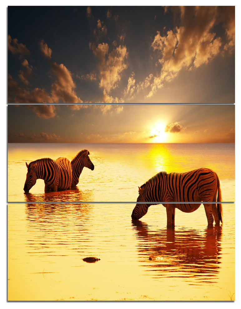Zebras in Water At Sunset, African Triptych Canvas Art Print, 28x36, 3 Panels