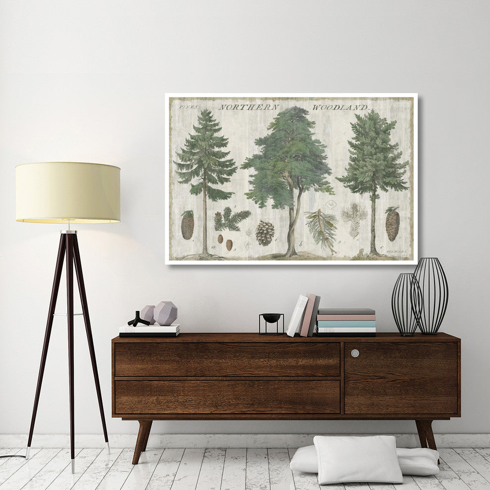 "Woodland Chart I" Digital Paper Print by Sue Schlabach, 62"x42"