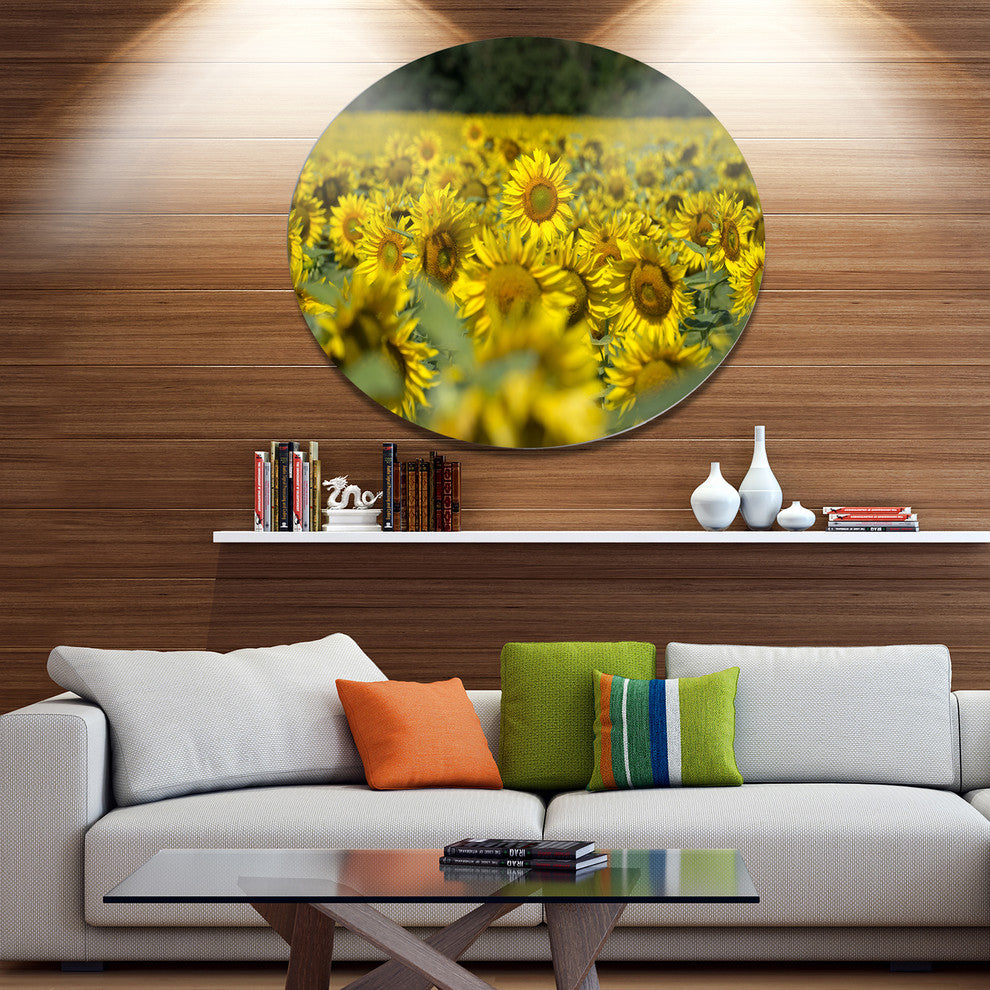 Bright Yellow Sunflowers Field, Modern Floral Disc Metal Wall Art, 11"