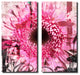 Painted Petals CI Canvas Art, 2-Piece Set