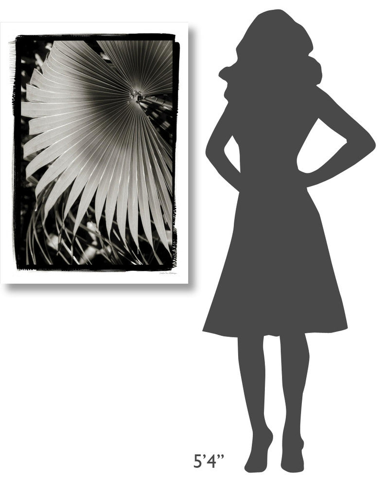 "Palm Frond II v2" Digital Paper Print by Debra Van Swearingen, 27"x38"