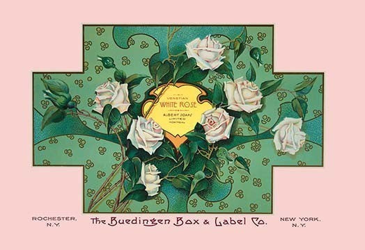 White Rose Soap - Gallery Wrapped Canvas Art 28" x 42"