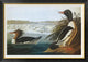 "Goosander" Framed Canvas Giclee by John James Audubon, 42"x30"