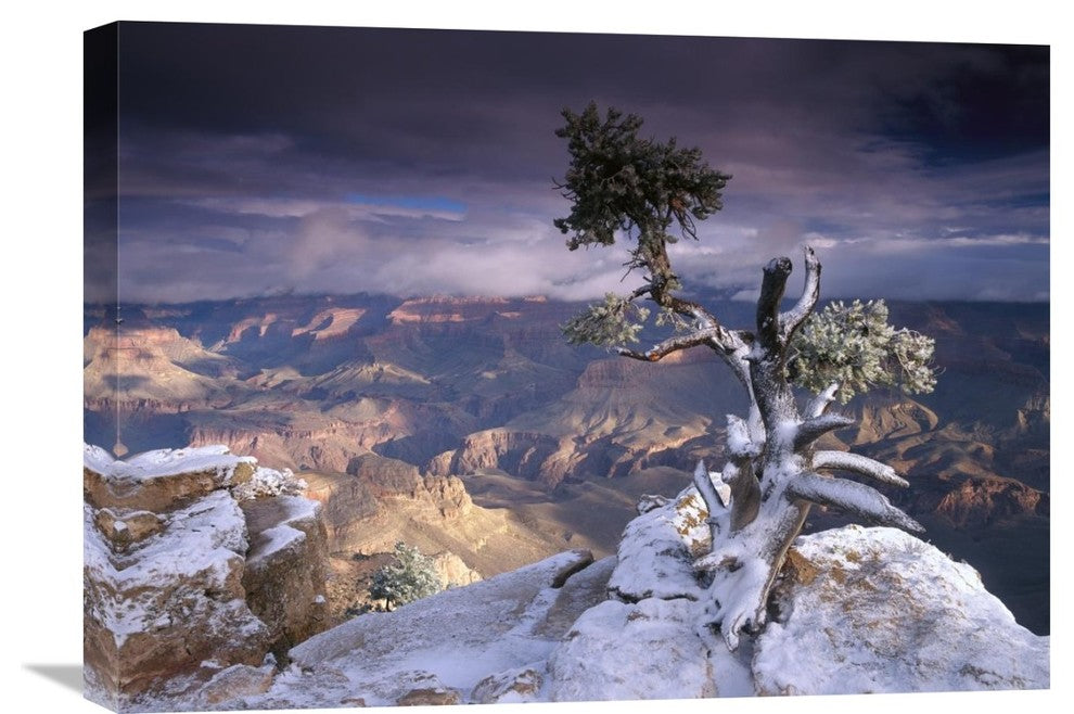 "South Rim Of Grand Canyon From Yaki Point, Grand Canyon N.P., Arizona" Artwork