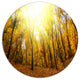 Yellow Autumn Forest In Sunlight, Forest Disc Metal Wall Art, 23"
