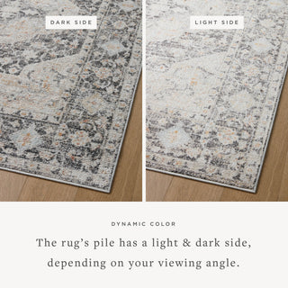 Loloi II Monroe Charcoal / Multi 9'-3" x 13' Area Rug