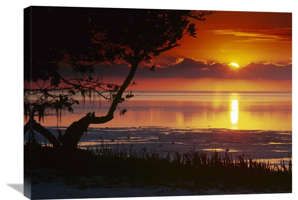 "Sunset Over Anne''s Beach, Florida" Artwork, 32" x 24"