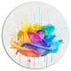 Multicolor Rose With Color Splashes, Floral Round Wall Art, 36"